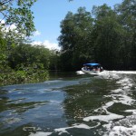 Taking a boat through the estuary in Costa Rica's Osa Peninsula.