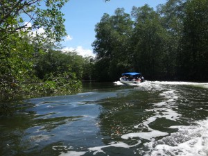 Taking a boat through the estuary in Costa Rica's Osa Peninsula.