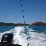 View from the back of the boat in Costa Rica's Osa Peninsula.
