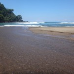 A surfer girl's paradise! Empty waves in Drake's Bay, Costa Rica.