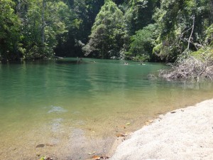 Swimming in Drake Bay, Costa Rica.