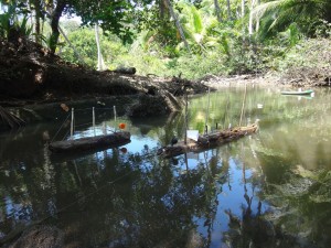 Hiking through the jungle in Drake Bay, Costa Rica.