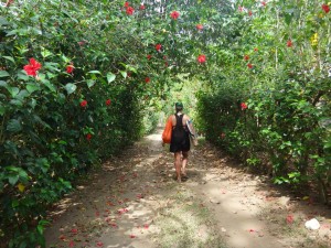 Michelle going surfing in Costa Rica.