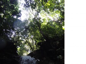 A waterfall in Matapalo, Costa Rica.