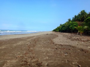The beach in Playa Dominical, Costa Rica.