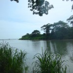 The river in Playa Dominical, Costa Rica.