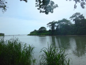 The river in Playa Dominical, Costa Rica.