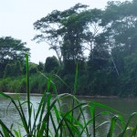 The river in Playa Dominical, Costa Rica.