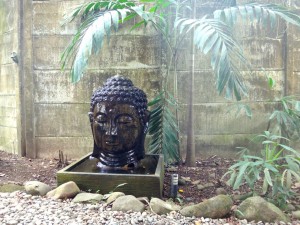 The yoga community in Playa Dominical, Costa Rica.