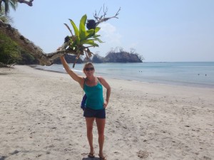 Aloe at Punta Leona.