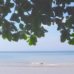 Relaxing in the shade at Punta Leona.