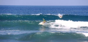 Aloe and Marie - the girls take over!