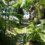 Jungla del Jaguar hostel in Drake Bay, Costa Rica.