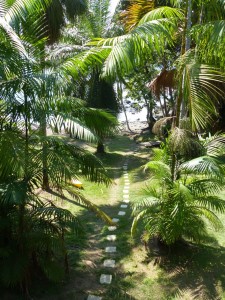 Jungla del Jaguar hostel in Drake Bay, Costa Rica.