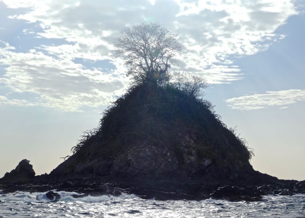 Spooky tree.
