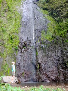 A waterfall in Ometepe, Nicaragua.