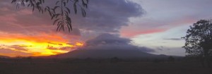 Volcano in Ometepe, Nicaragua.