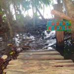 Beware of crocodiles!