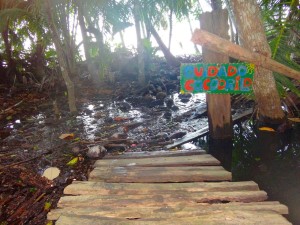 Beware of crocodiles!