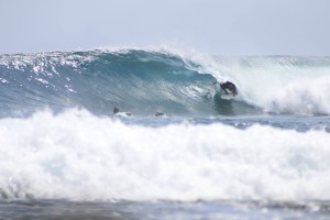 Surfing Playa Negra