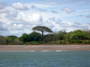 View of shore