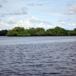 The estuary in El Salvador.