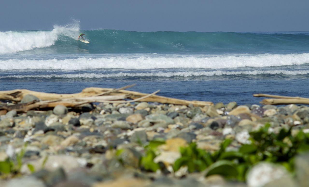 surfing Mexico