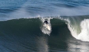 Aloe Driscoll in a relationship with a wave.