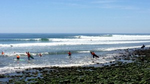 Rincon Invitational 2016, Third World Surf Co